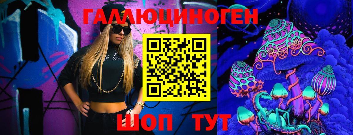 Камень-на-Оби  Псилоцибиновые грибы GOLDEN TEACHER  Вход с VPN 